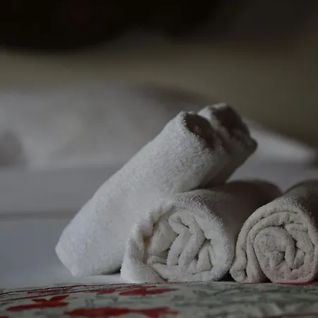 Chez Rumi Butik B&B 셀주크