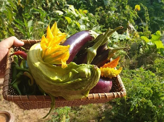 Chez Rumi Butik * Сельчук