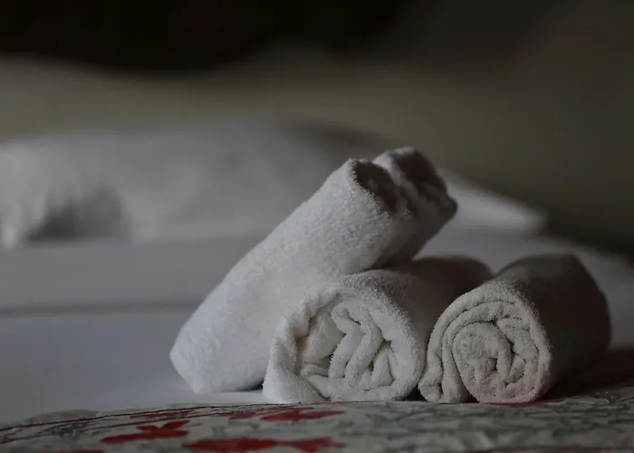 Chez Rumi Butik فندق مبيت وإفطار سلجوك