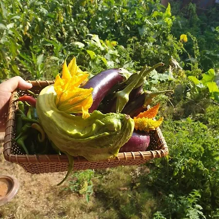 Chez Rumi Butik * Selçuk